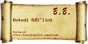 Bokodi Bálint névjegykártya